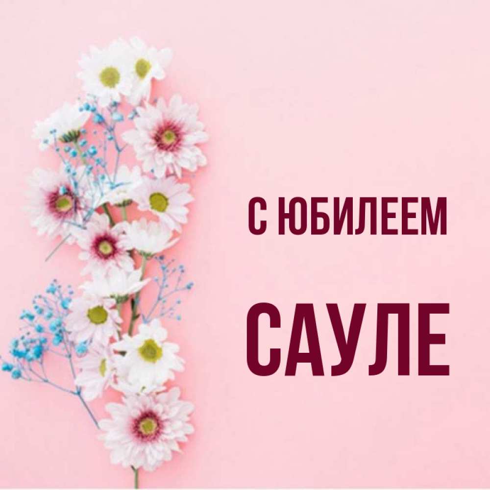 Картинки для сауле