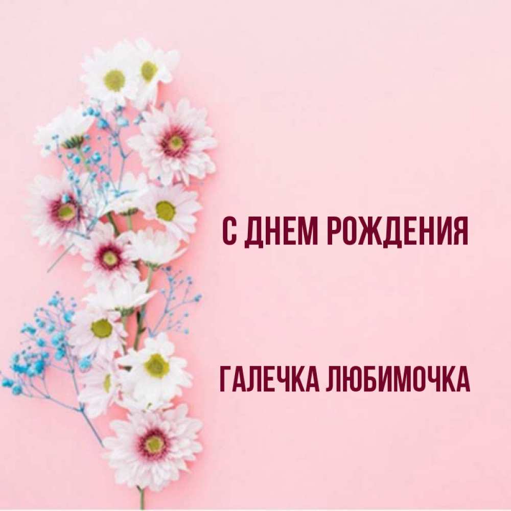 Галечка с днем рождения картинки