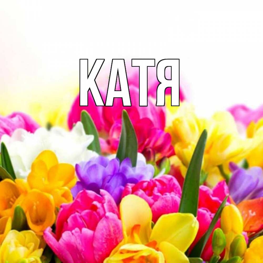 Открытка на каждый день с именем, Катя Главная тюльпаны Прикольная открытка с пожеланием онлайн скачать бесплатно 