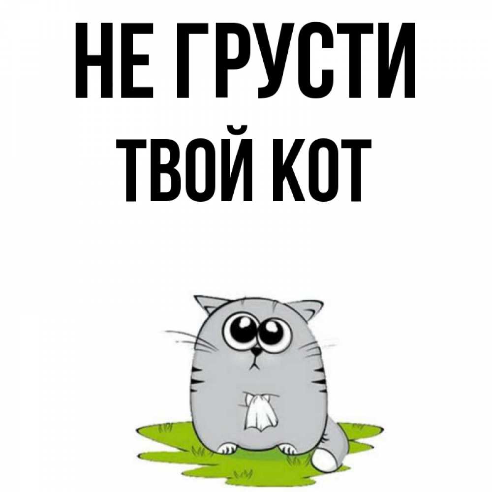 Я и твой кот