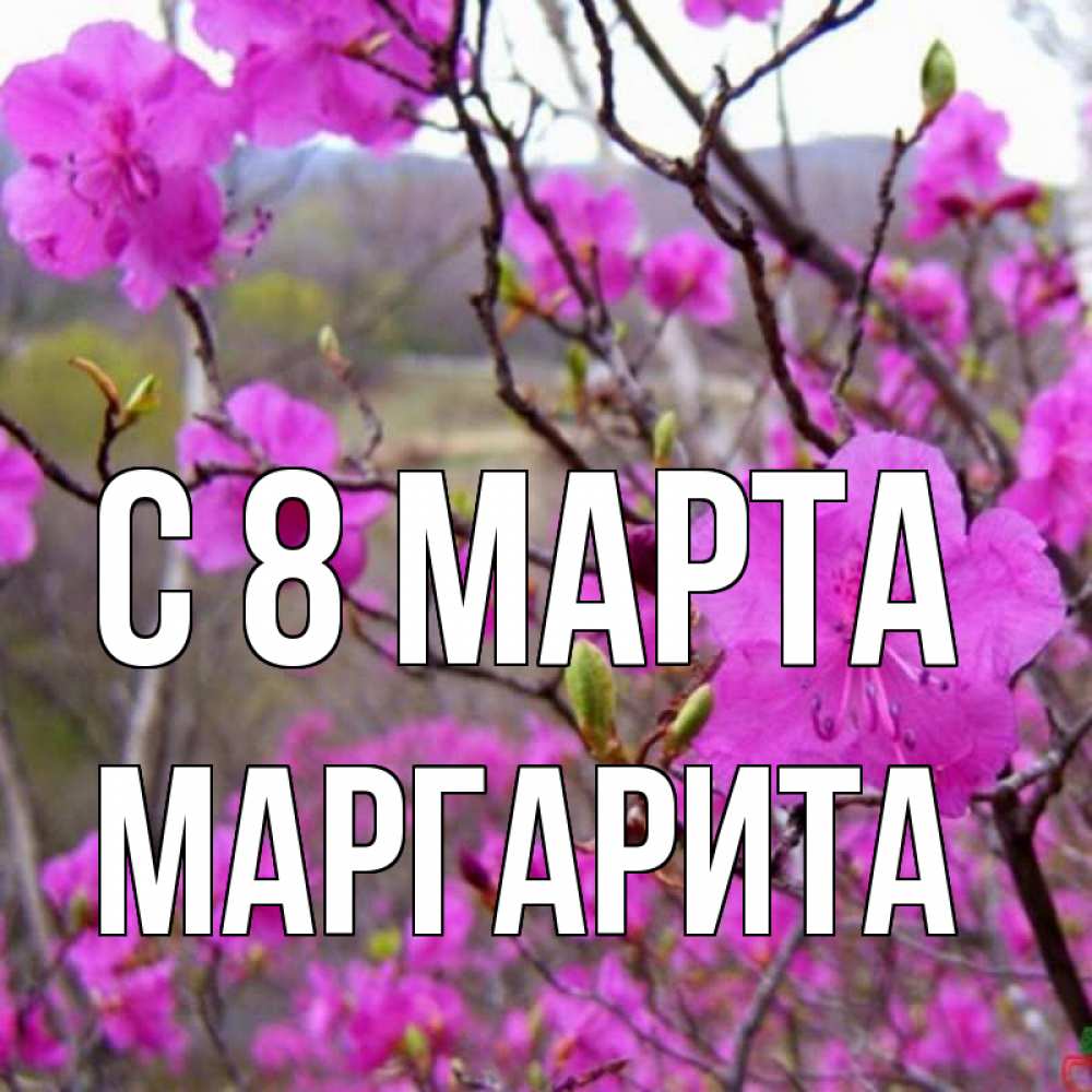 Картинка С 8 МАРТА, Маргарита