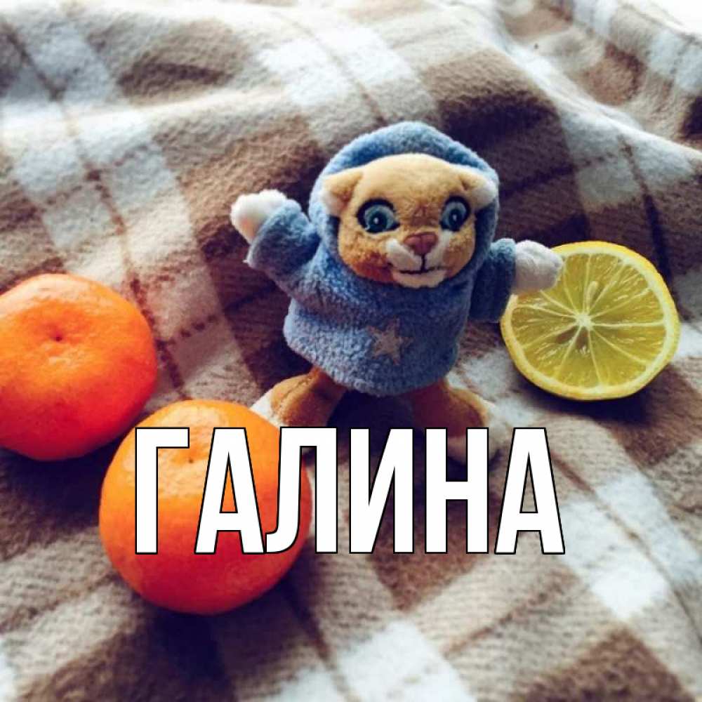 Открытка на каждый день с именем, Галина Главная вот тебе апельсинка и лимон Прикольная открытка с пожеланием онлайн скачать бесплатно 