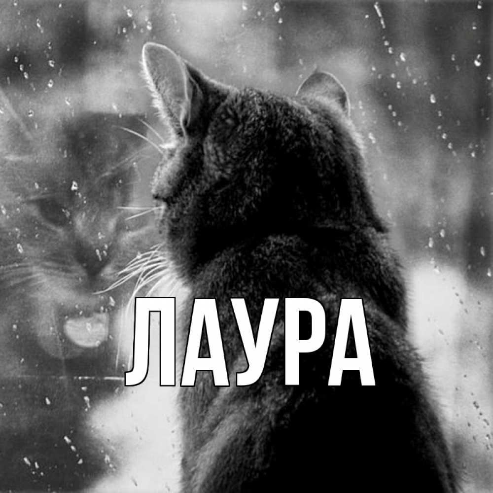 Картинка  с именем , Лаура