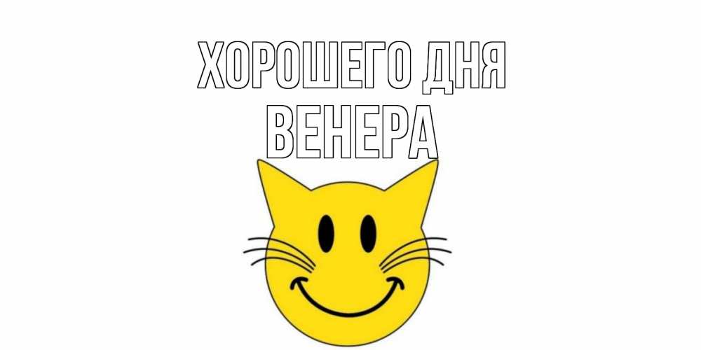 Открытка на каждый день с именем, Венера Хорошего дня открытка с котом Прикольная открытка с пожеланием онлайн скачать бесплатно 