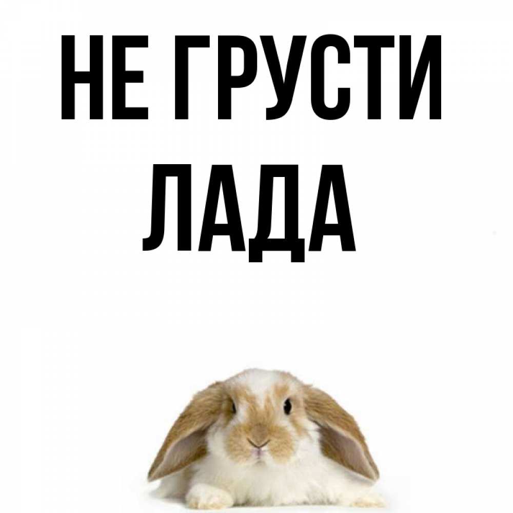 Картинка не грусти мармеладка