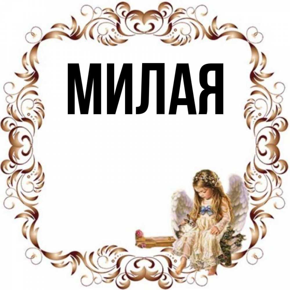 Мил главная