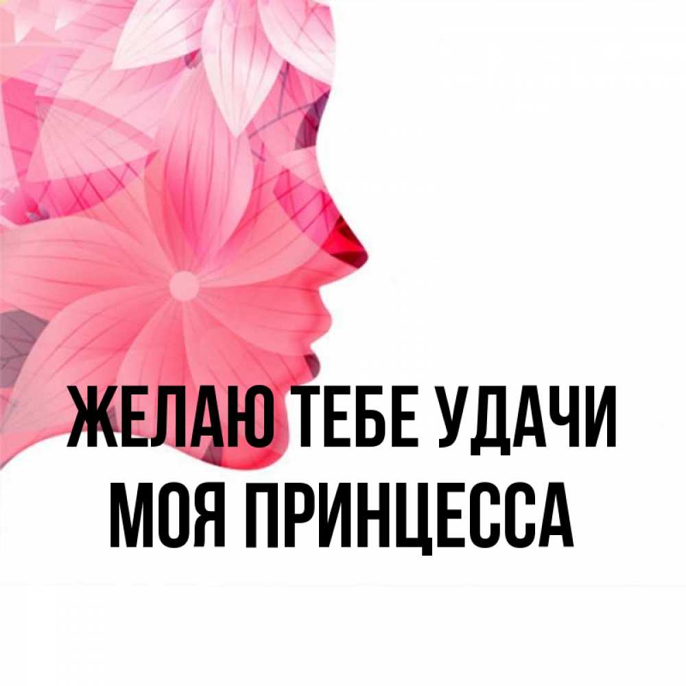 Моя принцесса текст