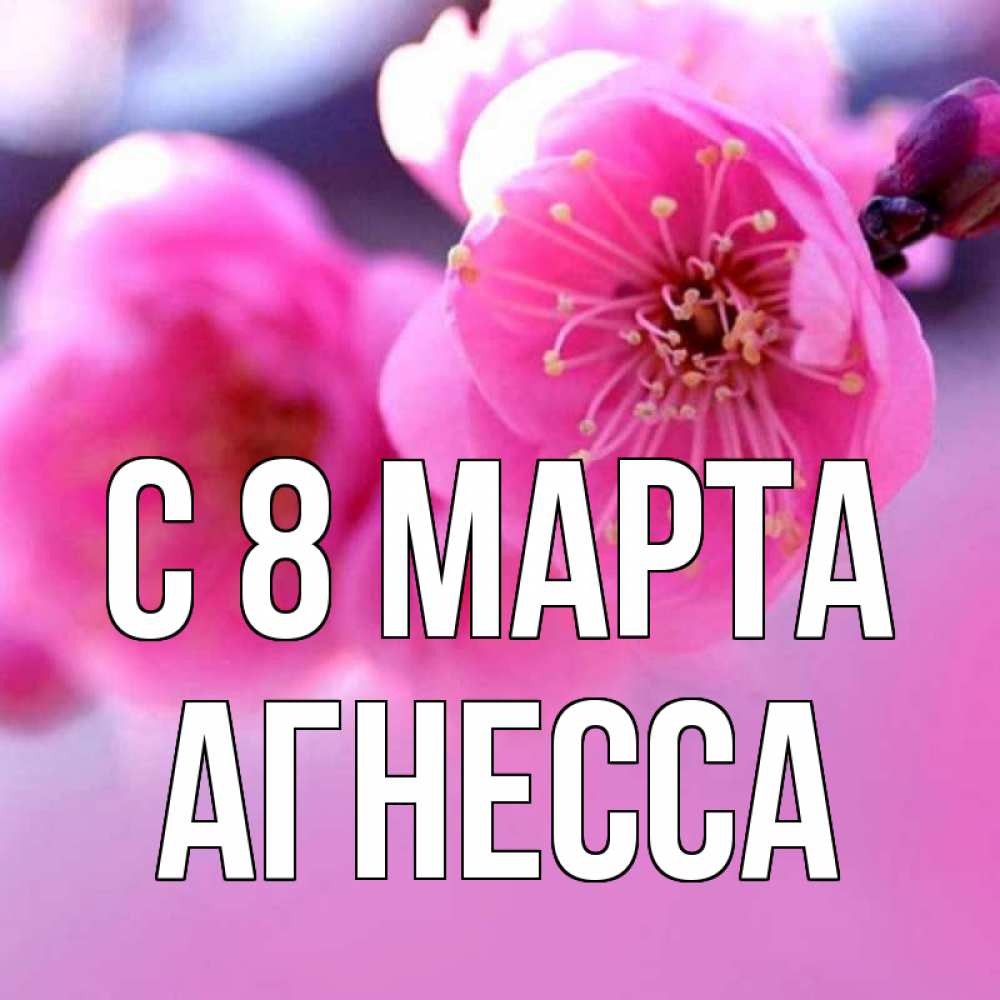 Открытка на каждый день с именем, Агнесса С 8 марта международный женский день Прикольная открытка с пожеланием онлайн скачать бесплатно 