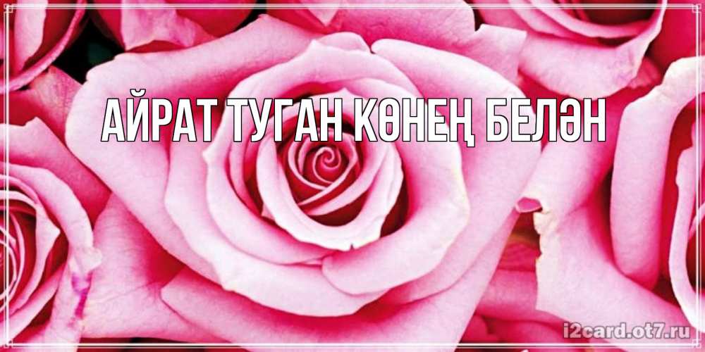Открытка на каждый день с именем, Айрат-туган-көнең-белән Главная открытка с розовой розой на день рождения Прикольная открытка с пожеланием онлайн скачать бесплатно 