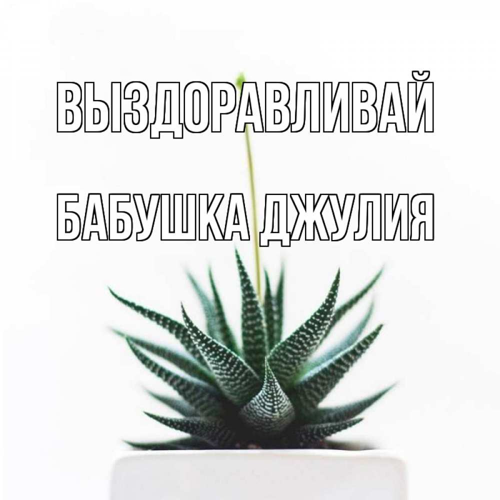 Открытка на каждый день с именем, Бабушка-Джулия Выздоравливай короче это непонятная колючка Прикольная открытка с пожеланием онлайн скачать бесплатно 