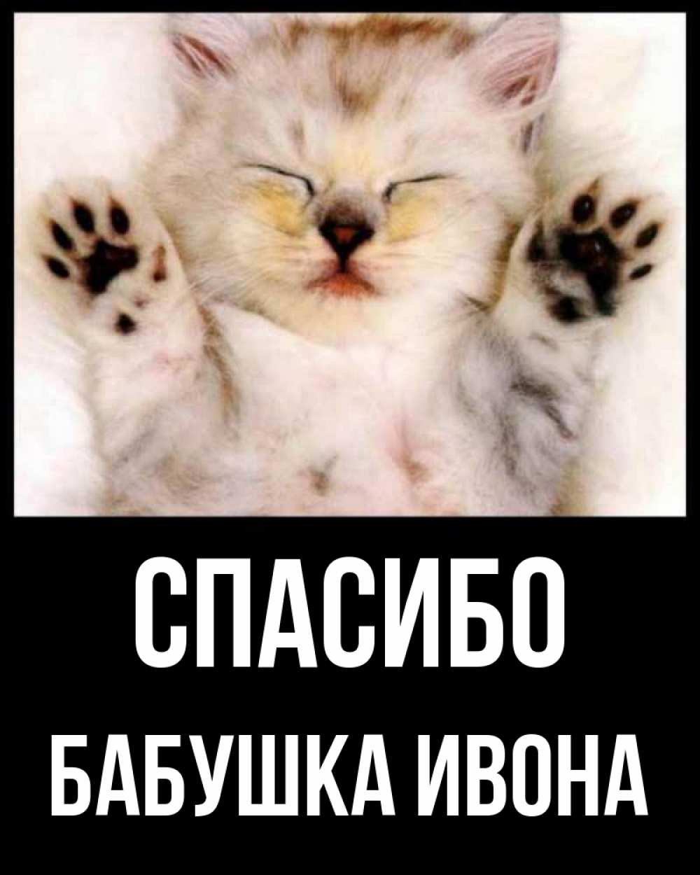 Открытка на каждый день с именем, Бабушка-Ивона Спасибо маленький котенок Прикольная открытка с пожеланием онлайн скачать бесплатно 