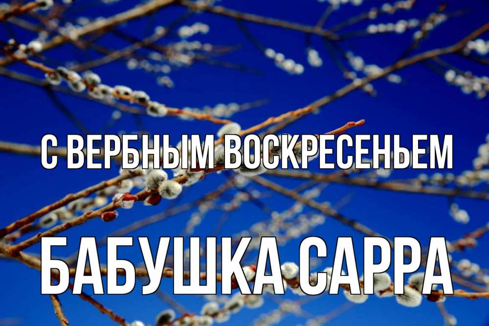 Открытка на каждый день с именем, Бабушка-Сарра С вербным воскресеньем верба Прикольная открытка с пожеланием онлайн скачать бесплатно 