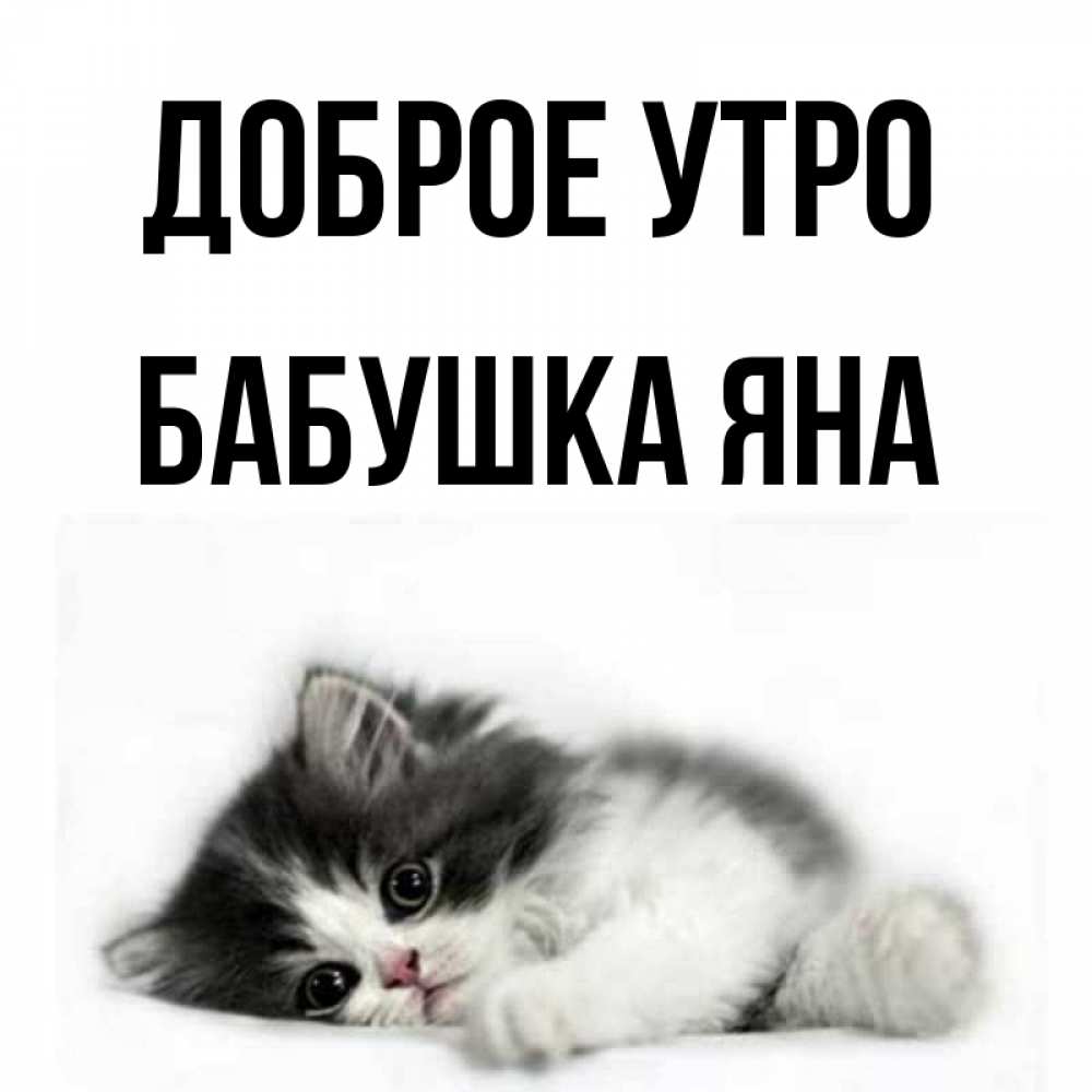 Открытка на каждый день с именем, Бабушка-Яна Доброе утро кот лапки Прикольная открытка с пожеланием онлайн скачать бесплатно 