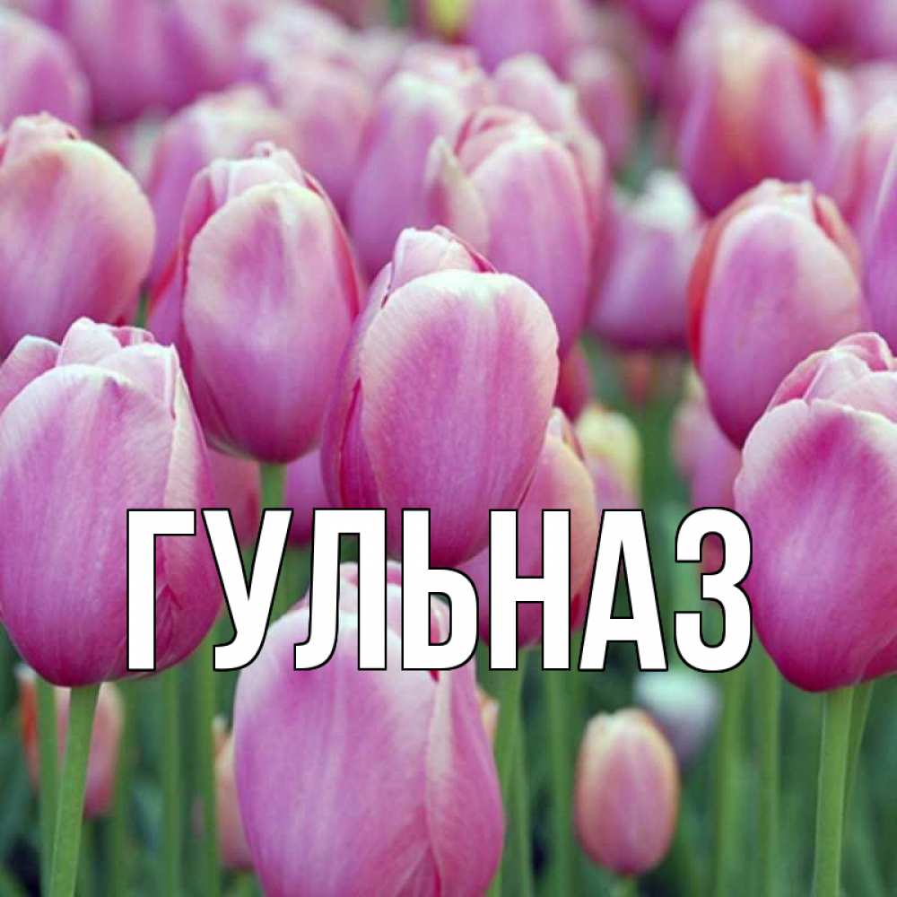 Открытка на каждый день с именем, Гульназ Главная на международный женский день 3 Прикольная открытка с пожеланием онлайн скачать бесплатно 