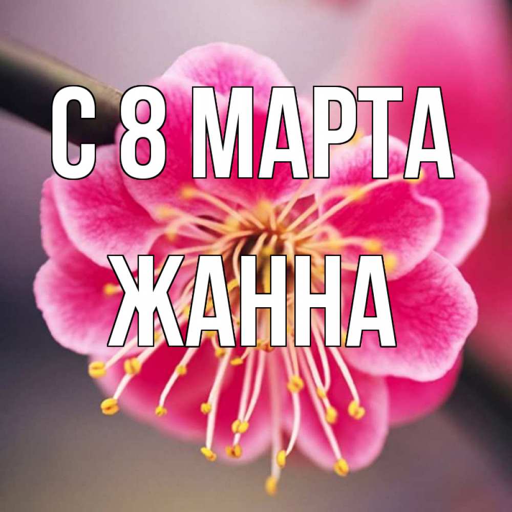 Открытка на каждый день с именем, Жанна С 8 МАРТА цветы Прикольная открытка с пожеланием онлайн скачать бесплатно 