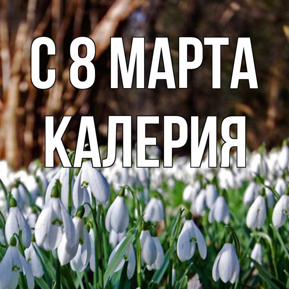 Открытка на каждый день с именем, Калерия С 8 МАРТА с подснежниками 1 Прикольная открытка с пожеланием онлайн скачать бесплатно 