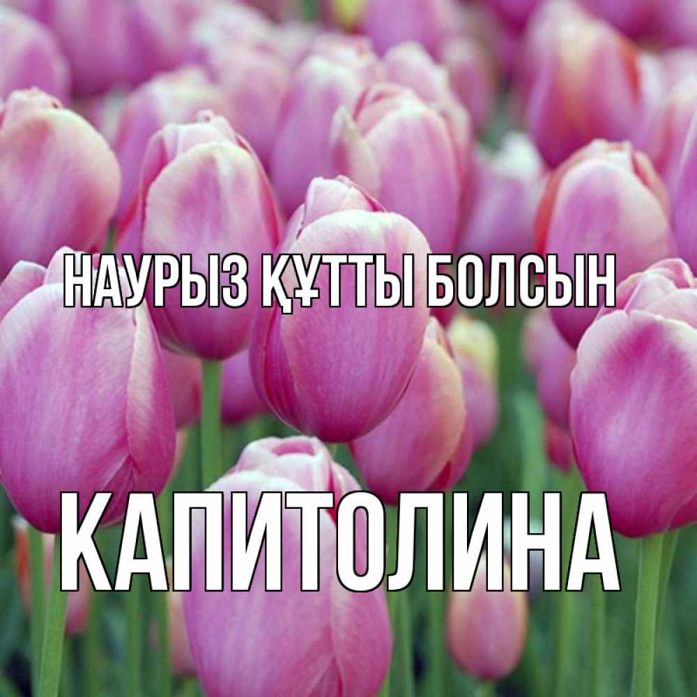 Открытка на каждый день с именем, Капитолина Наурыз құтты болсын на наурыз  день 3 Прикольная открытка с пожеланием онлайн скачать бесплатно 