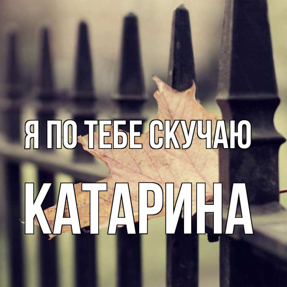 Открытка на каждый день с именем, Катарина Я по тебе скучаю очень скучно Прикольная открытка с пожеланием онлайн скачать бесплатно 