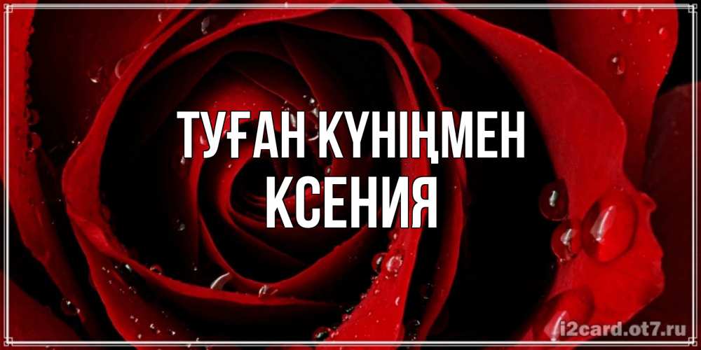 Открытка на каждый день с именем, Ксения Туған күніңмен крупная бордовая роза Прикольная открытка с пожеланием онлайн скачать бесплатно 