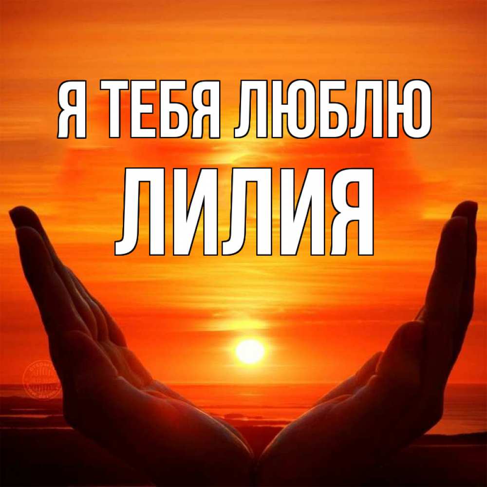 Открытка на каждый день с именем, Лилия Я тебя люблю в руках Прикольная открытка с пожеланием онлайн скачать бесплатно 