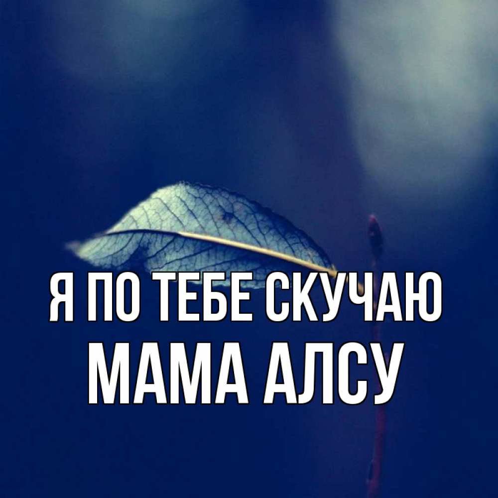 Открытка на каждый день с именем, Мама-Алсу Я по тебе скучаю одна ветка 1 Прикольная открытка с пожеланием онлайн скачать бесплатно 