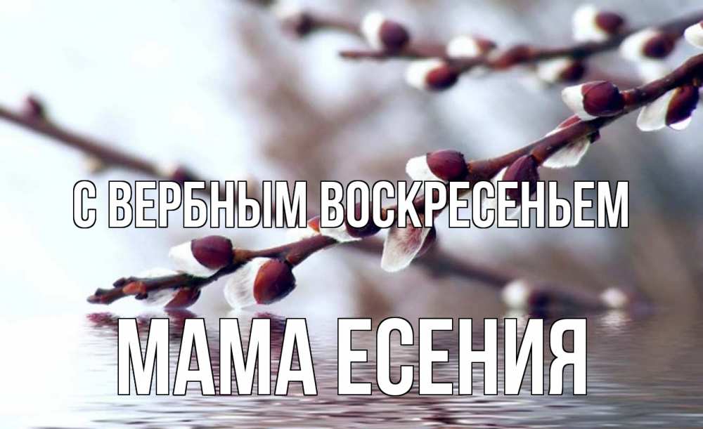 Открытка на каждый день с именем, Мама-Есения С вербным воскресеньем верба, ручей Прикольная открытка с пожеланием онлайн скачать бесплатно 