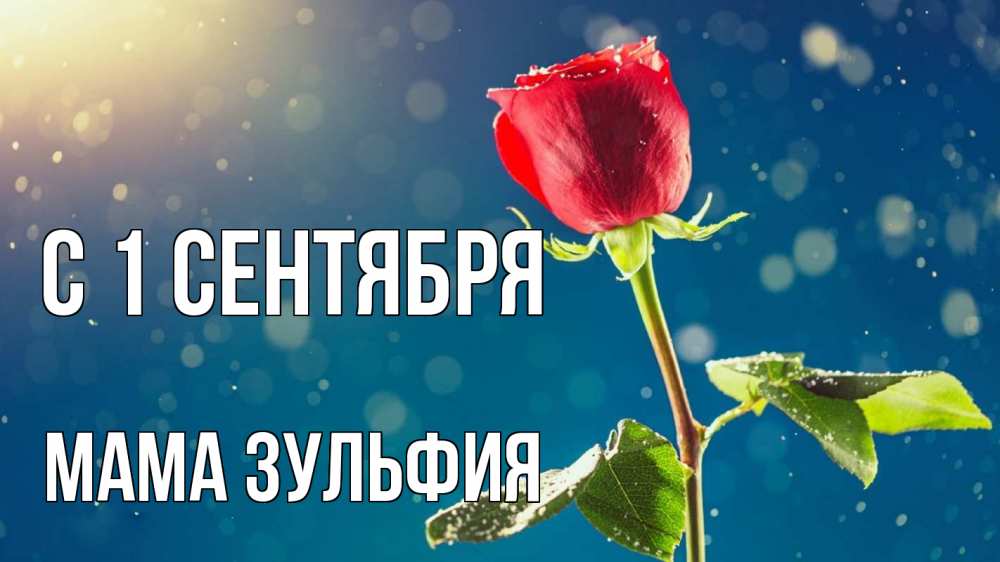 Открытка на каждый день с именем, Мама-Зульфия С 1 сентября с днем знаний Прикольная открытка с пожеланием онлайн скачать бесплатно 