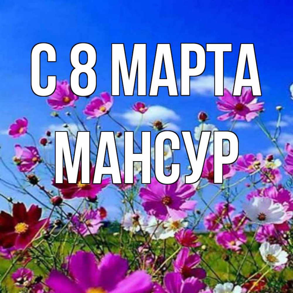 Открытка на каждый день с именем, Мансур С 8 МАРТА цветы Прикольная открытка с пожеланием онлайн скачать бесплатно 