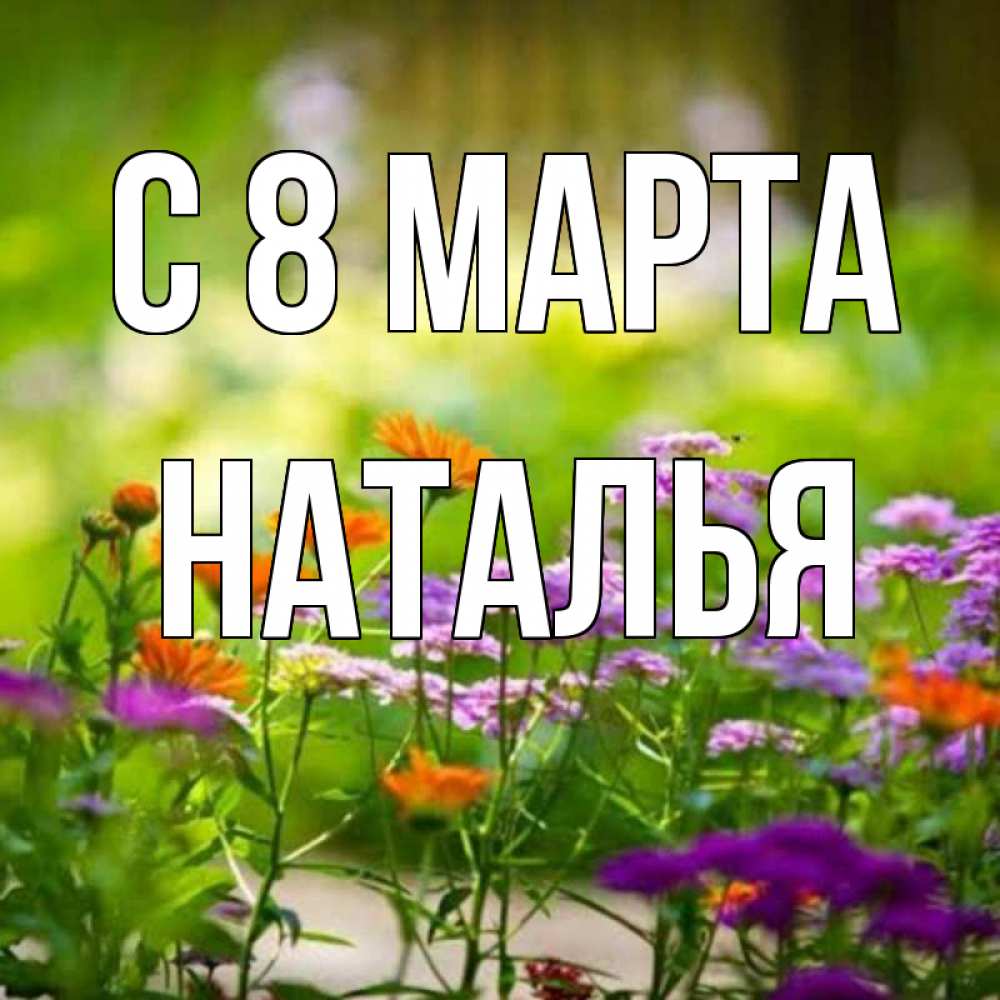Открытка на каждый день с именем, НАТАЛЬЯ С 8 марта цветы Прикольная открытка с пожеланием онлайн скачать бесплатно 