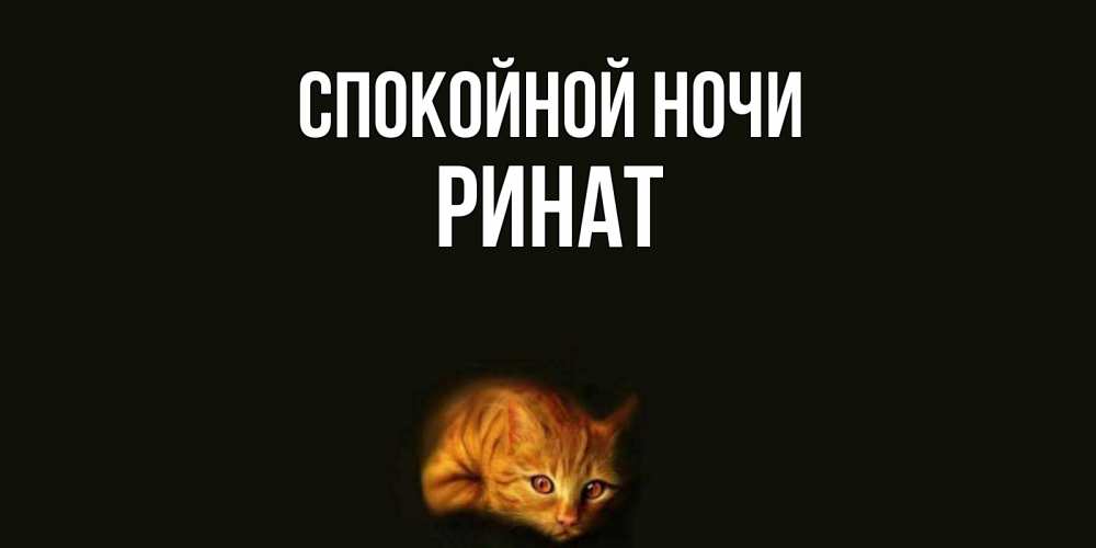 Открытка на каждый день с именем, Ринат Спокойной ночи кот Прикольная открытка с пожеланием онлайн скачать бесплатно 