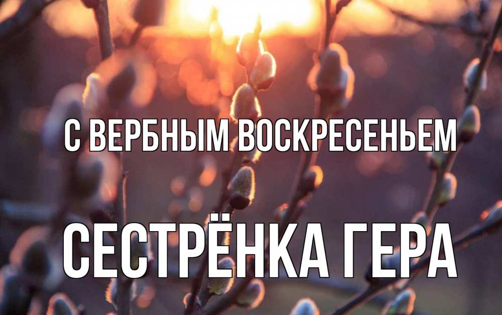 Открытка на каждый день с именем, Сестрёнка-Гера С вербным воскресеньем верба Прикольная открытка с пожеланием онлайн скачать бесплатно 