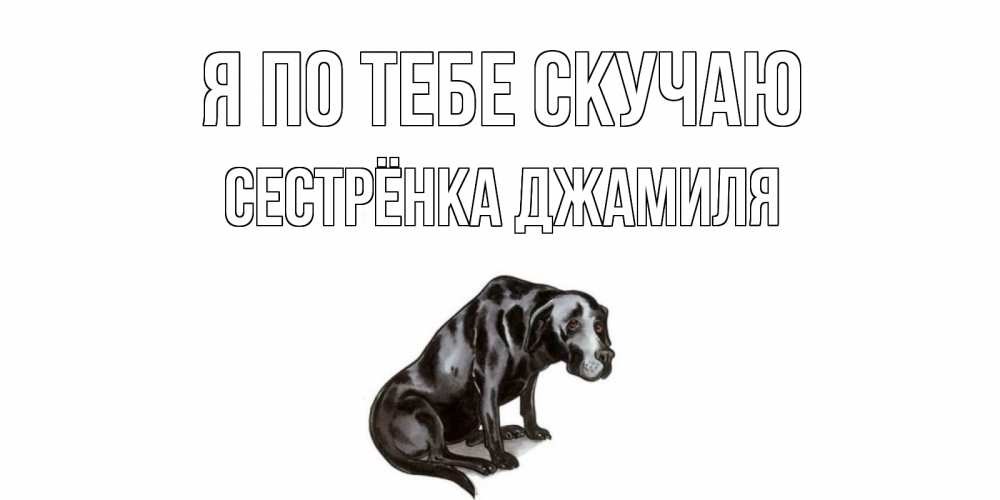 Открытка на каждый день с именем, Сестрёнка-Джамиля Я по тебе скучаю я по тебе скучаю открытка с собакой Прикольная открытка с пожеланием онлайн скачать бесплатно 