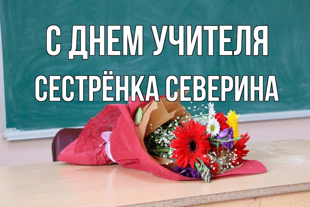 Открытка на каждый день с именем, Сестрёнка-Северина С днем учителя школа с днем учителя Прикольная открытка с пожеланием онлайн скачать бесплатно 