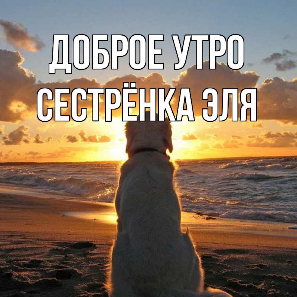 Открытка на каждый день с именем, Сестрёнка-Эля Доброе утро восход солнца Прикольная открытка с пожеланием онлайн скачать бесплатно 