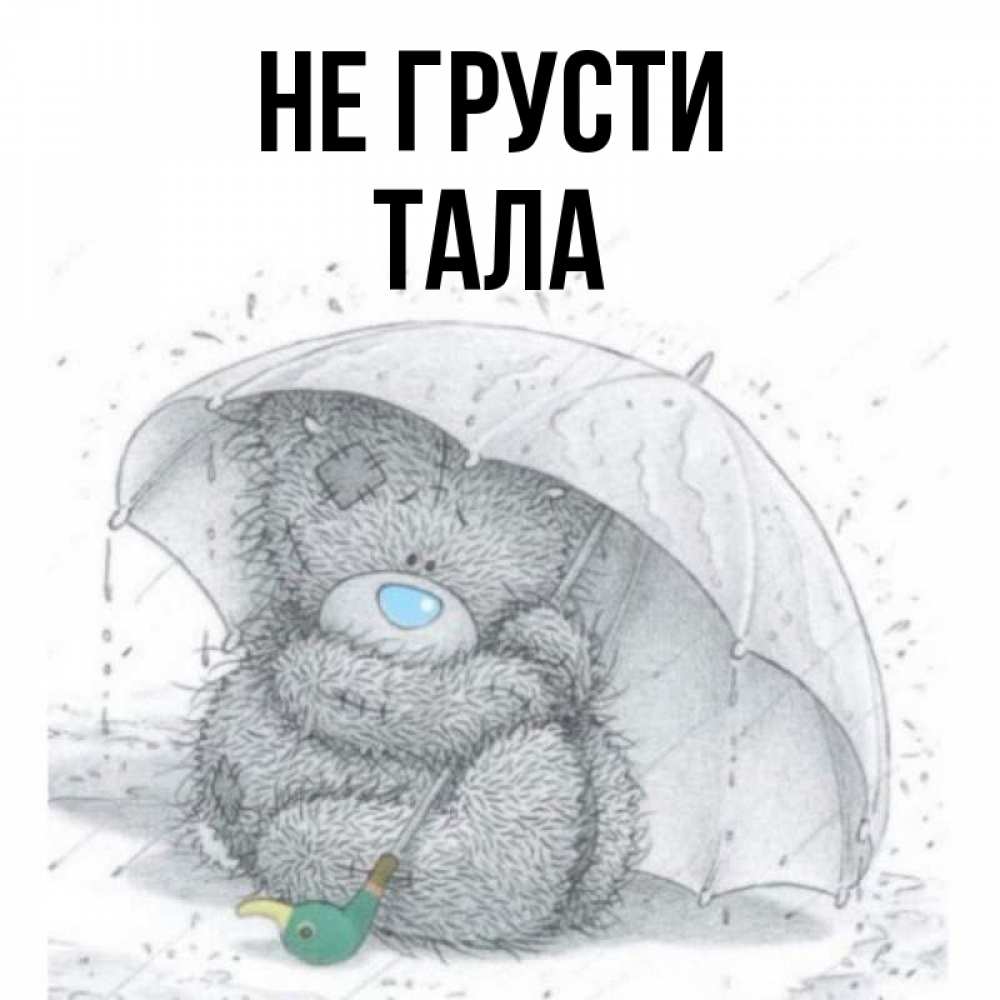 Открытка на каждый день с именем, Тала Не грусти спасите мишку Тедди Прикольная открытка с пожеланием онлайн скачать бесплатно 