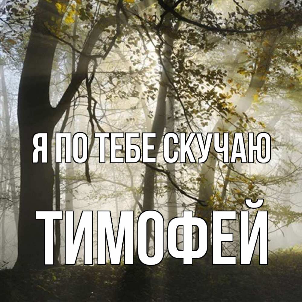 Открытка на каждый день с именем, Тимофей Я по тебе скучаю грустно Прикольная открытка с пожеланием онлайн скачать бесплатно 