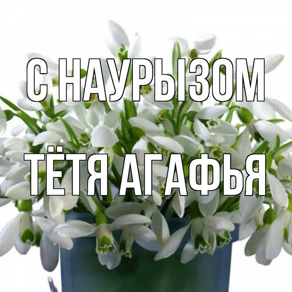 Открытка на каждый день с именем, Тётя-Агафья С наурызом цветы к наурызу новый год в Казахстане Прикольная открытка с пожеланием онлайн скачать бесплатно 