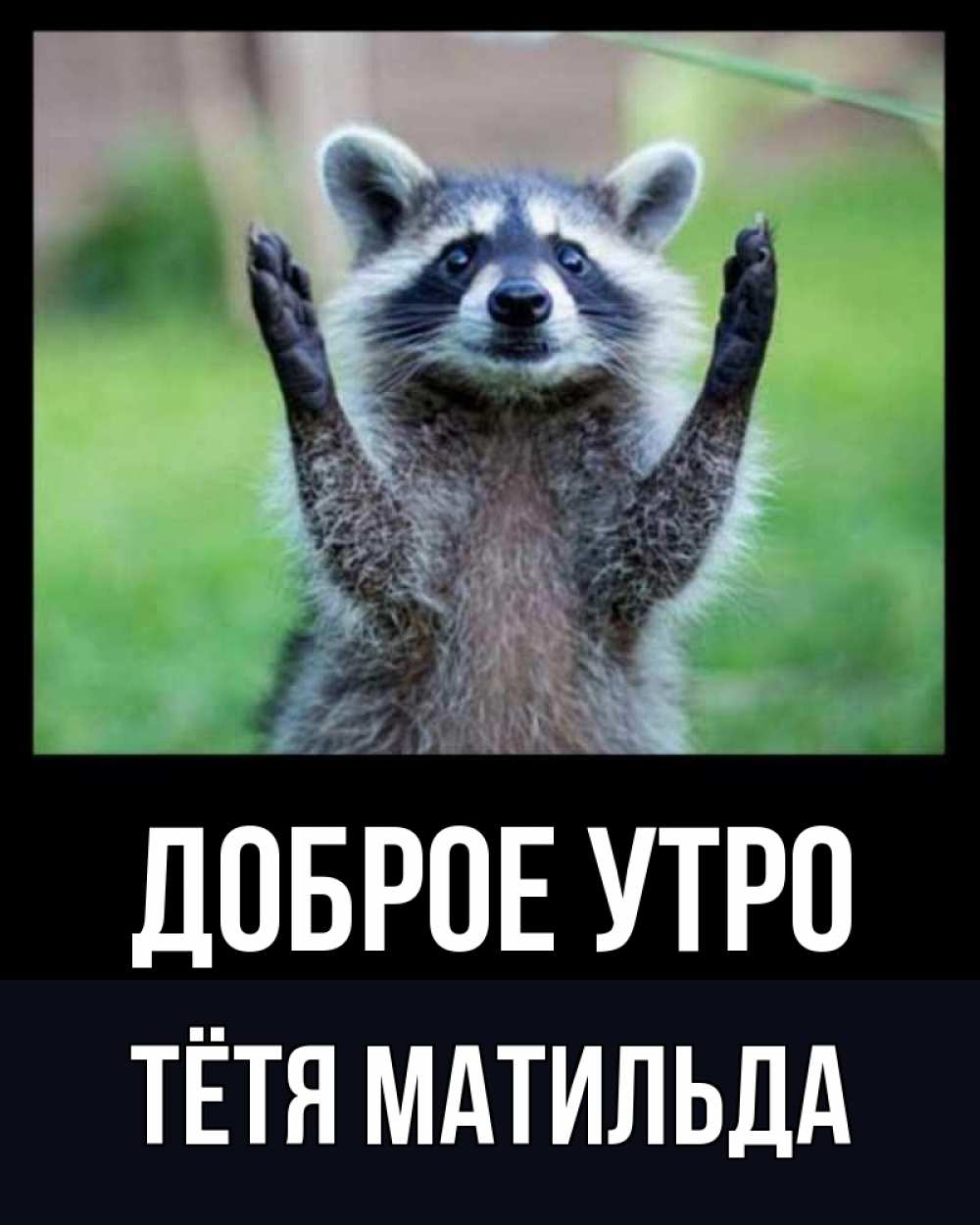 Открытка на каждый день с именем, Тётя-Матильда Доброе утро хорошее настроение утречком Прикольная открытка с пожеланием онлайн скачать бесплатно 