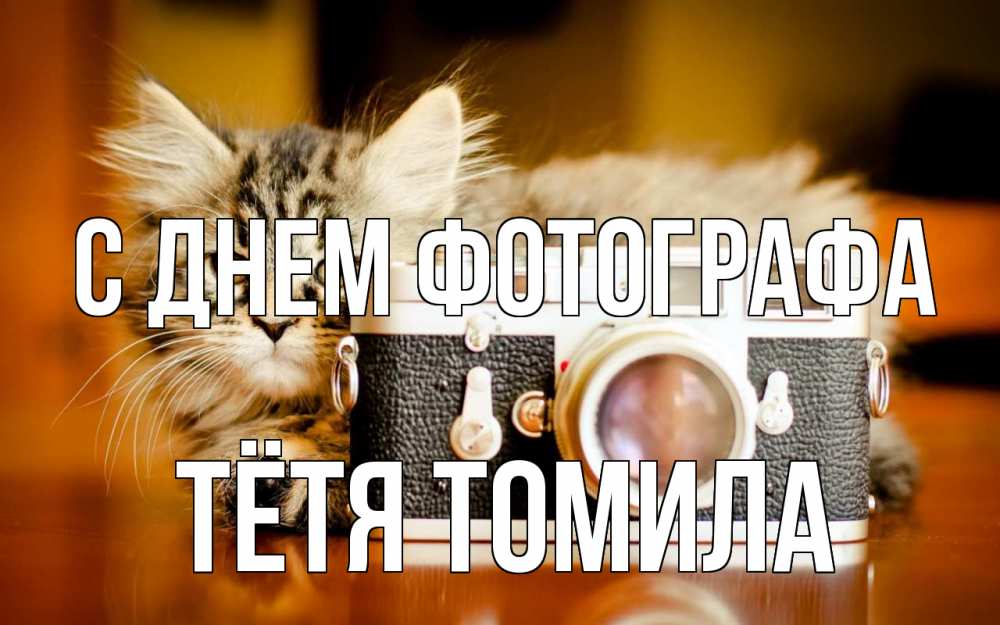 Открытка на каждый день с именем, Тётя-Томила С днем фотографа с днем фотографа Прикольная открытка с пожеланием онлайн скачать бесплатно 