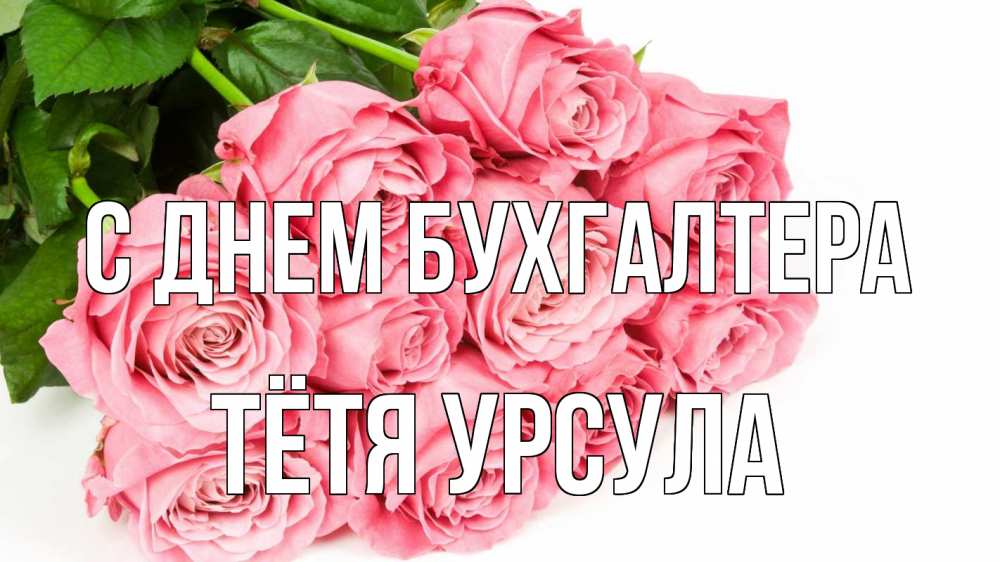 Открытка на каждый день с именем, Тётя-Урсула С днем бухгалтера с днем бухгалтера 2 Прикольная открытка с пожеланием онлайн скачать бесплатно 