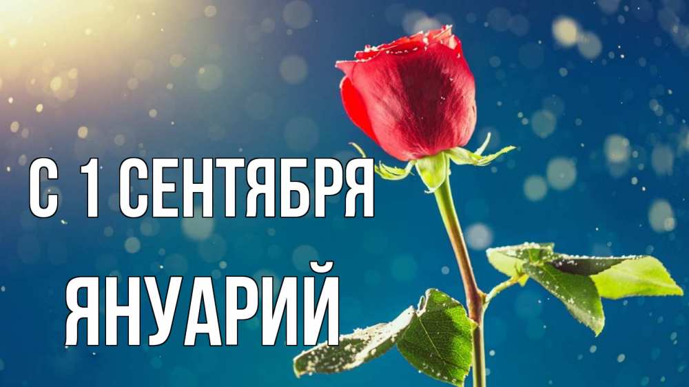 Открытка на каждый день с именем, Януарий С 1 сентября с днем знаний Прикольная открытка с пожеланием онлайн скачать бесплатно 