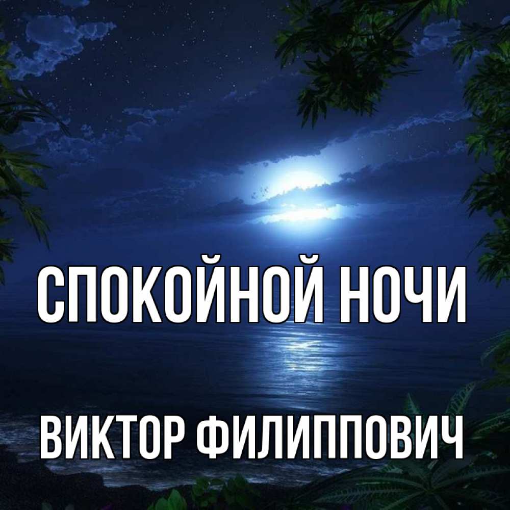 Натали ночью