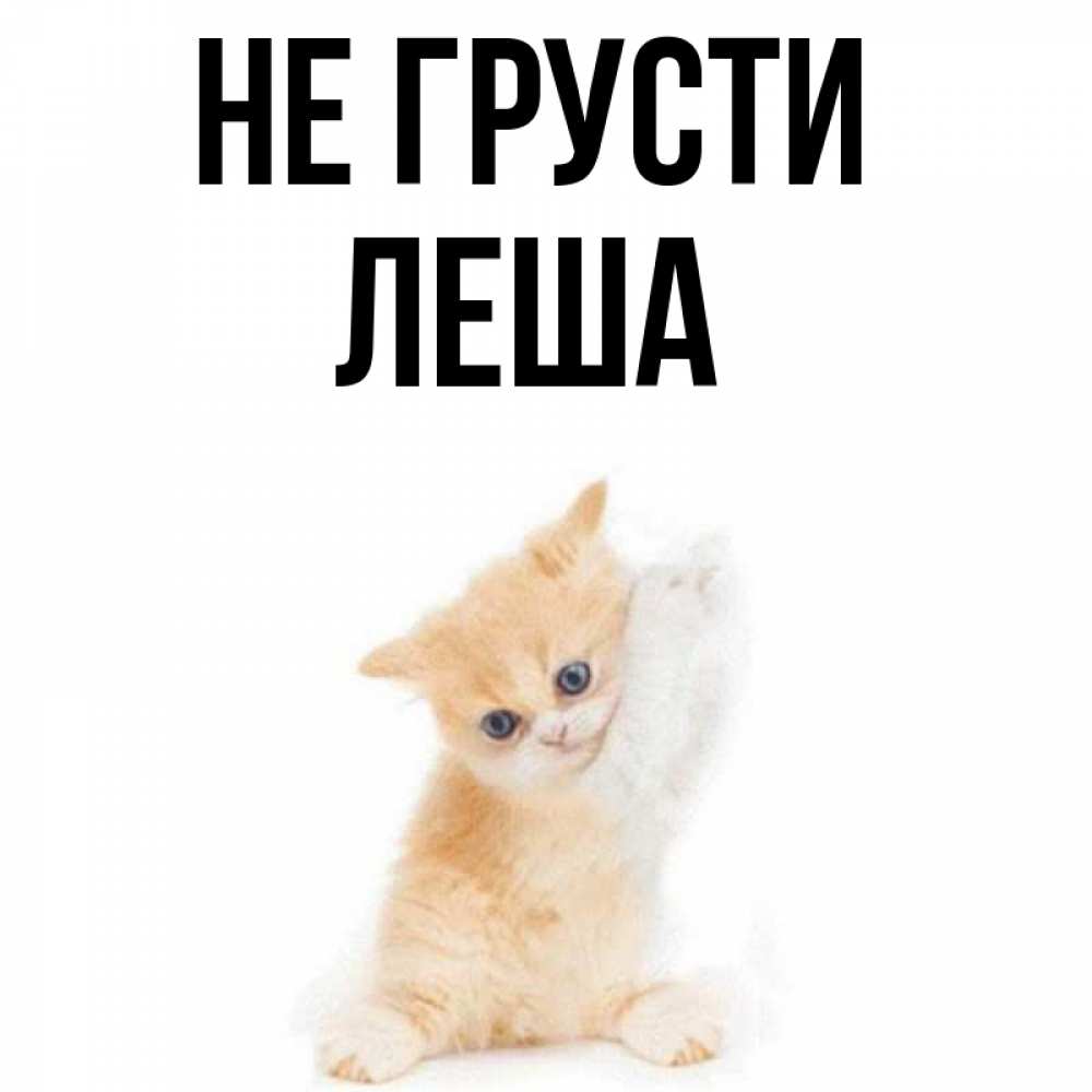 Сашка не грусти картинки
