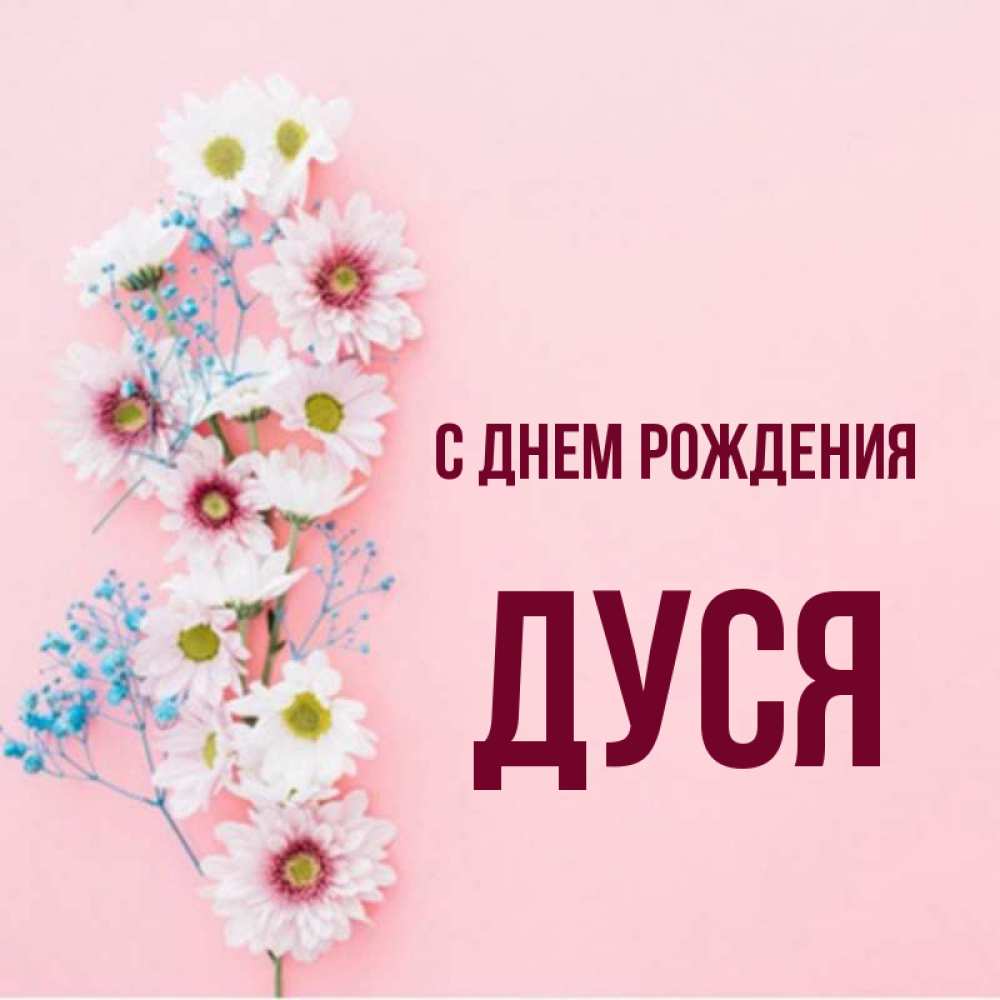 Дуся с днем рождения картинки