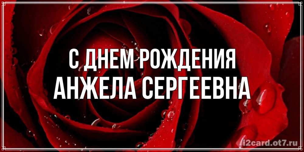 Открытка на каждый день с именем, Анжела-Сергеевна С днем рождения крупная бордовая роза Прикольная открытка с пожеланием онлайн скачать бесплатно 