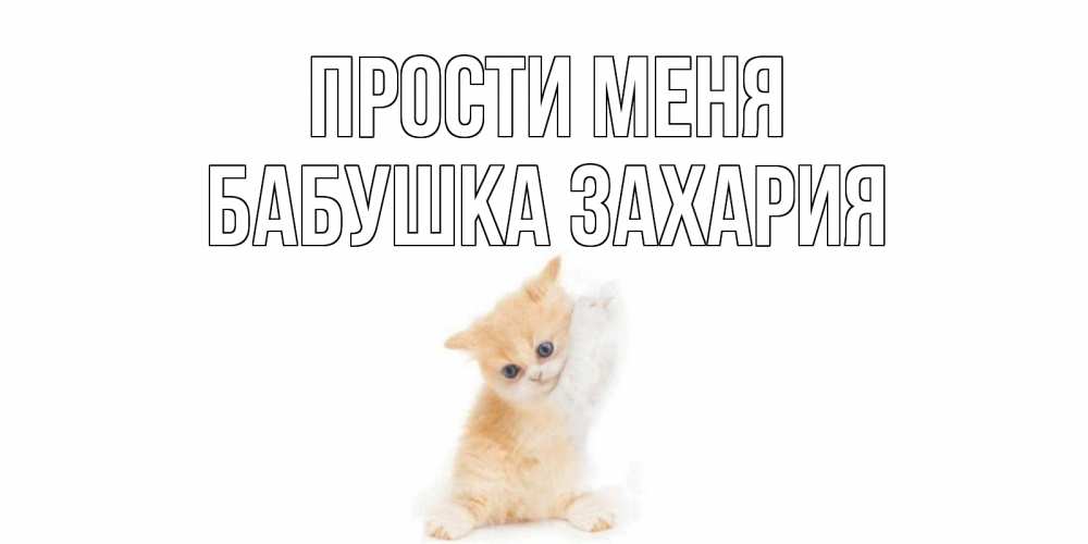 Открытка на каждый день с именем, Бабушка-Захария Прости меня кот Прикольная открытка с пожеланием онлайн скачать бесплатно 