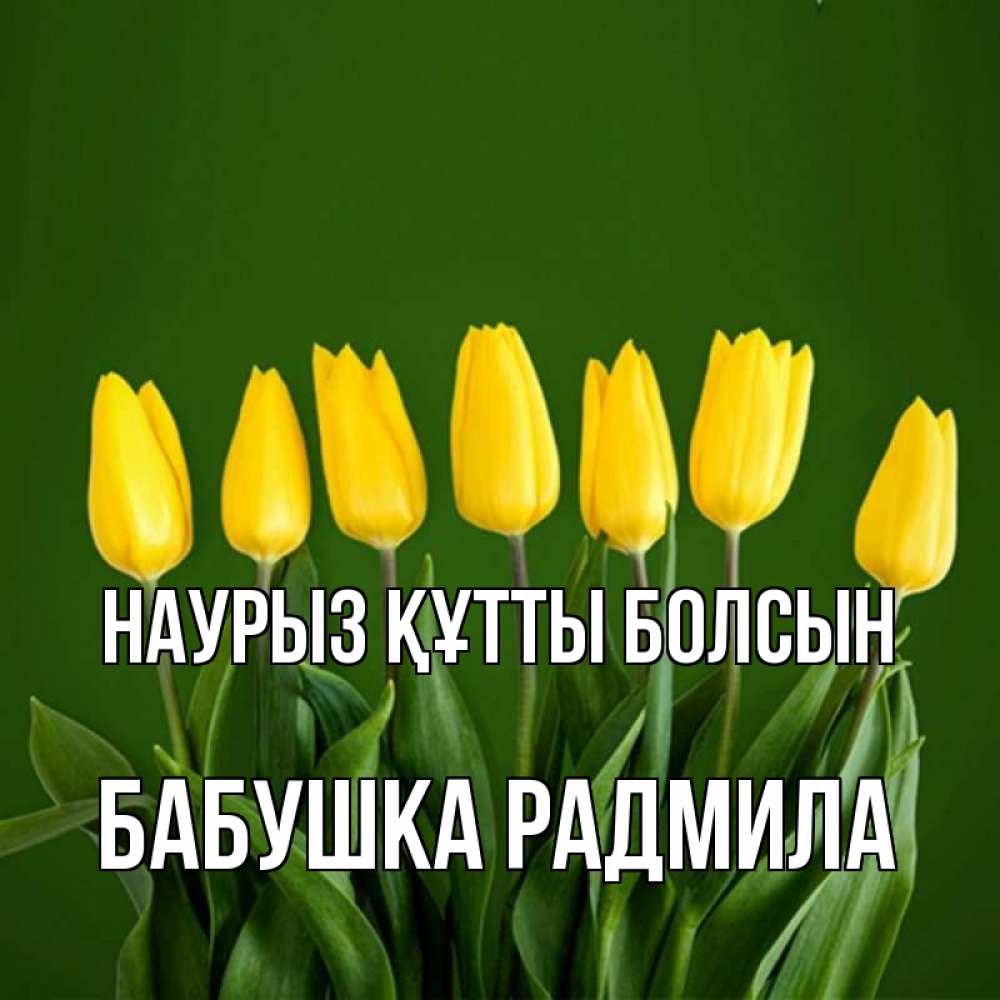 Открытка на каждый день с именем, Бабушка-Радмила Наурыз құтты болсын желтого цвета 3 Прикольная открытка с пожеланием онлайн скачать бесплатно 