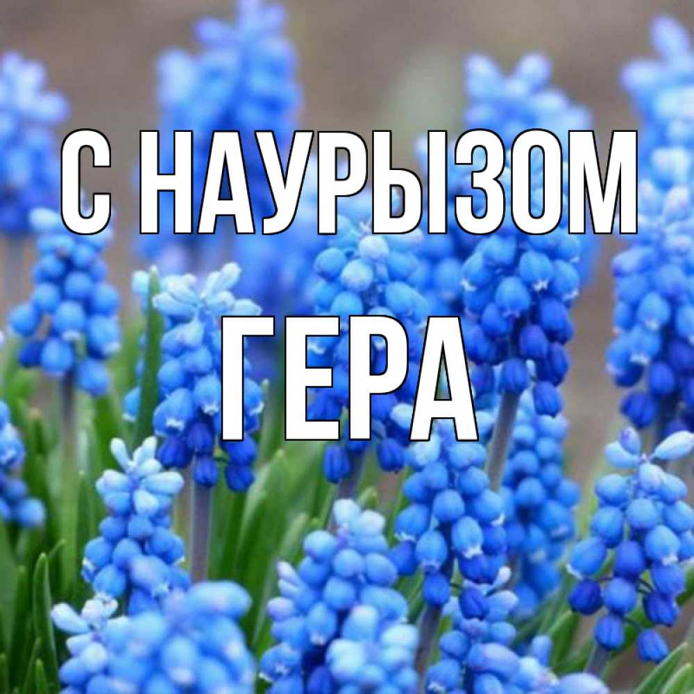 Открытка на каждый день с именем, Гера С наурызом Поздравительная открытка для женщин с цветами на праздничную дату Прикольная открытка с пожеланием онлайн скачать бесплатно 