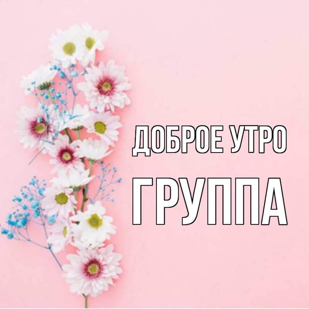 Открытка на каждый день с именем, Группа Доброе утро цветы с подписью Прикольная открытка с пожеланием онлайн скачать бесплатно 