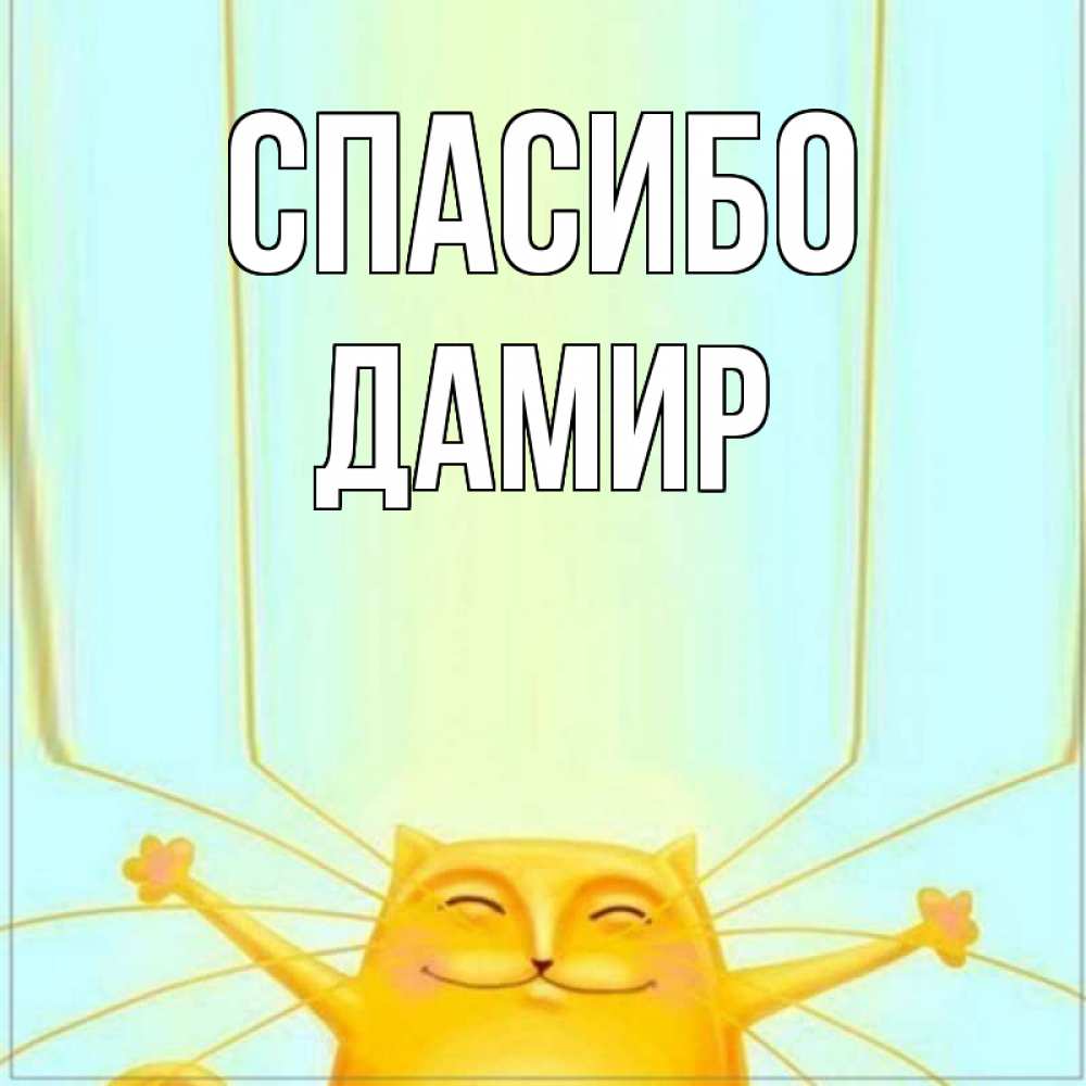 Открытка на каждый день с именем, Дамир Спасибо кот с усами благодарит Прикольная открытка с пожеланием онлайн скачать бесплатно 